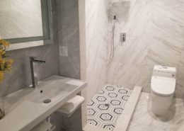 Modern Luxury Shower