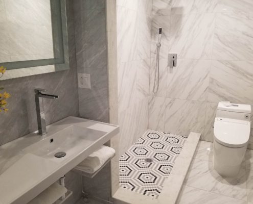 Modern Luxury Shower